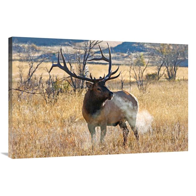 Global Gallery GCS-486493-40-142 40 in. Morning Breath Art Print - Vic ...