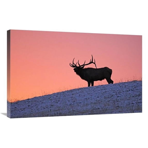 Global Gallery GCS-486501-36-142 36 in. Winter Sunrise Art Print - Vic Schendel