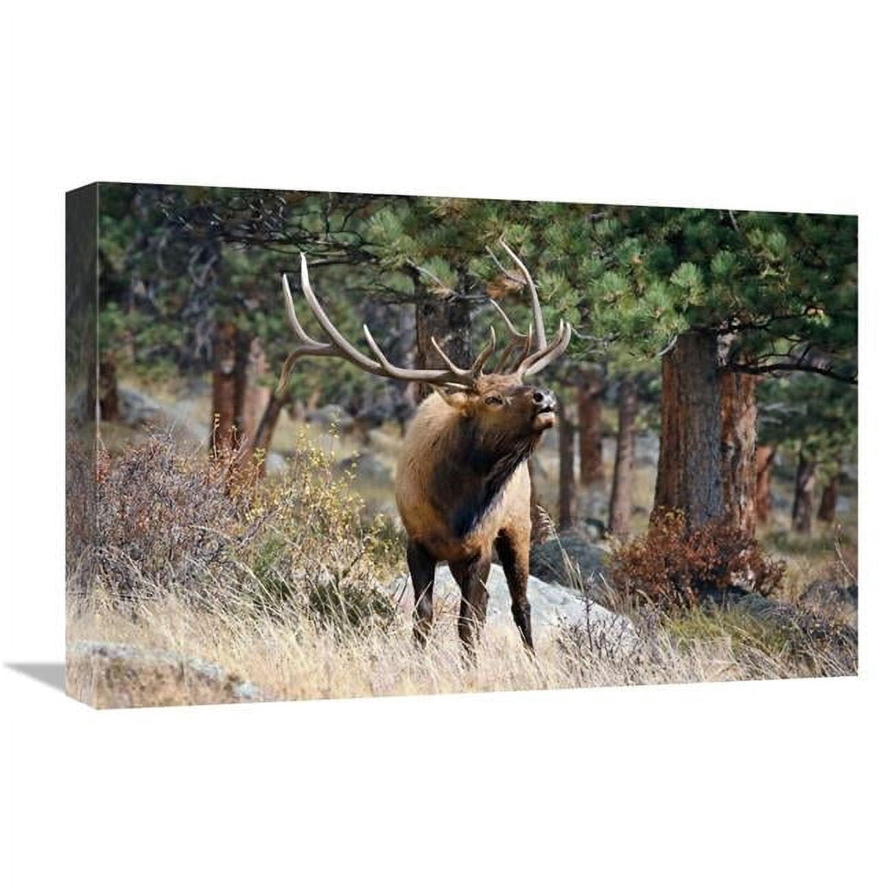 Global Gallery GCS-486503-22-142 22 in. The Last Call Art Print - Vic ...