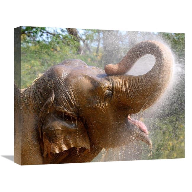 Global Gallery GCS-486534-22-142 22 in. Elephant Bath Art Print - Vic ...
