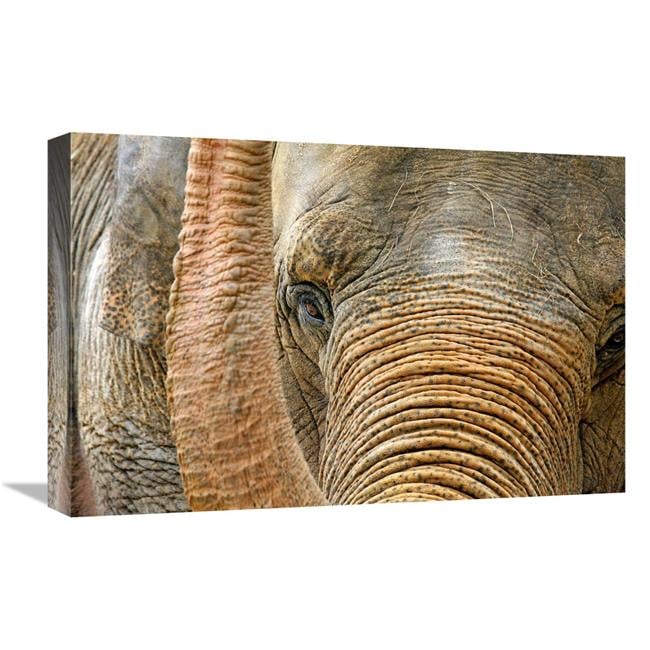 Global Gallery GCS-486535-22-142 22 in. Ready for my Close Up Art Print ...