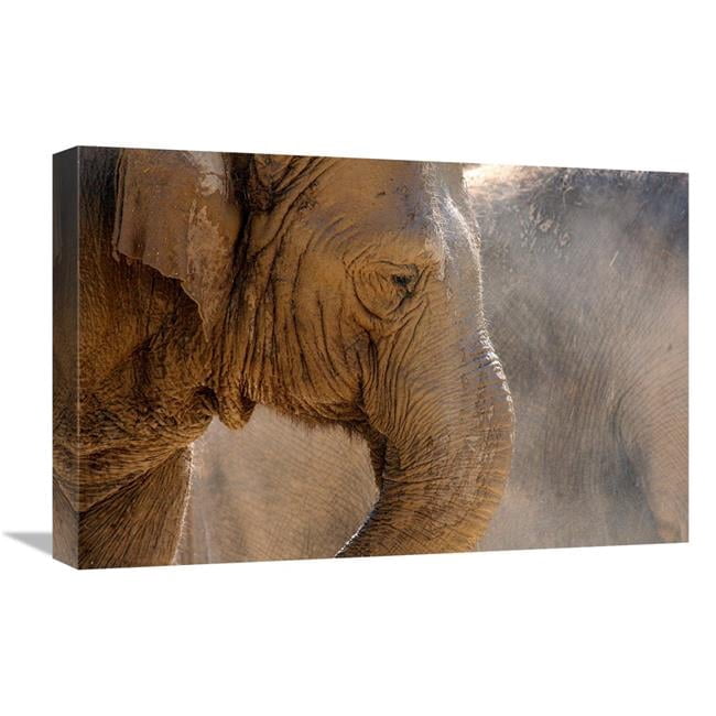 Global Gallery GCS-486536-22-142 22 in. Dusty Friends Art Print - Vic ...