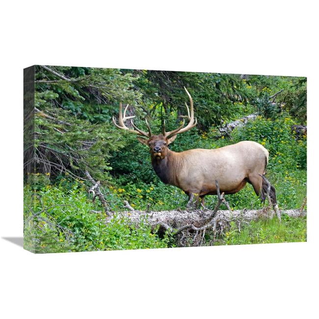 Global Gallery GCS-486556-22-142 22 in. Ready to Run Art Print - Vic ...