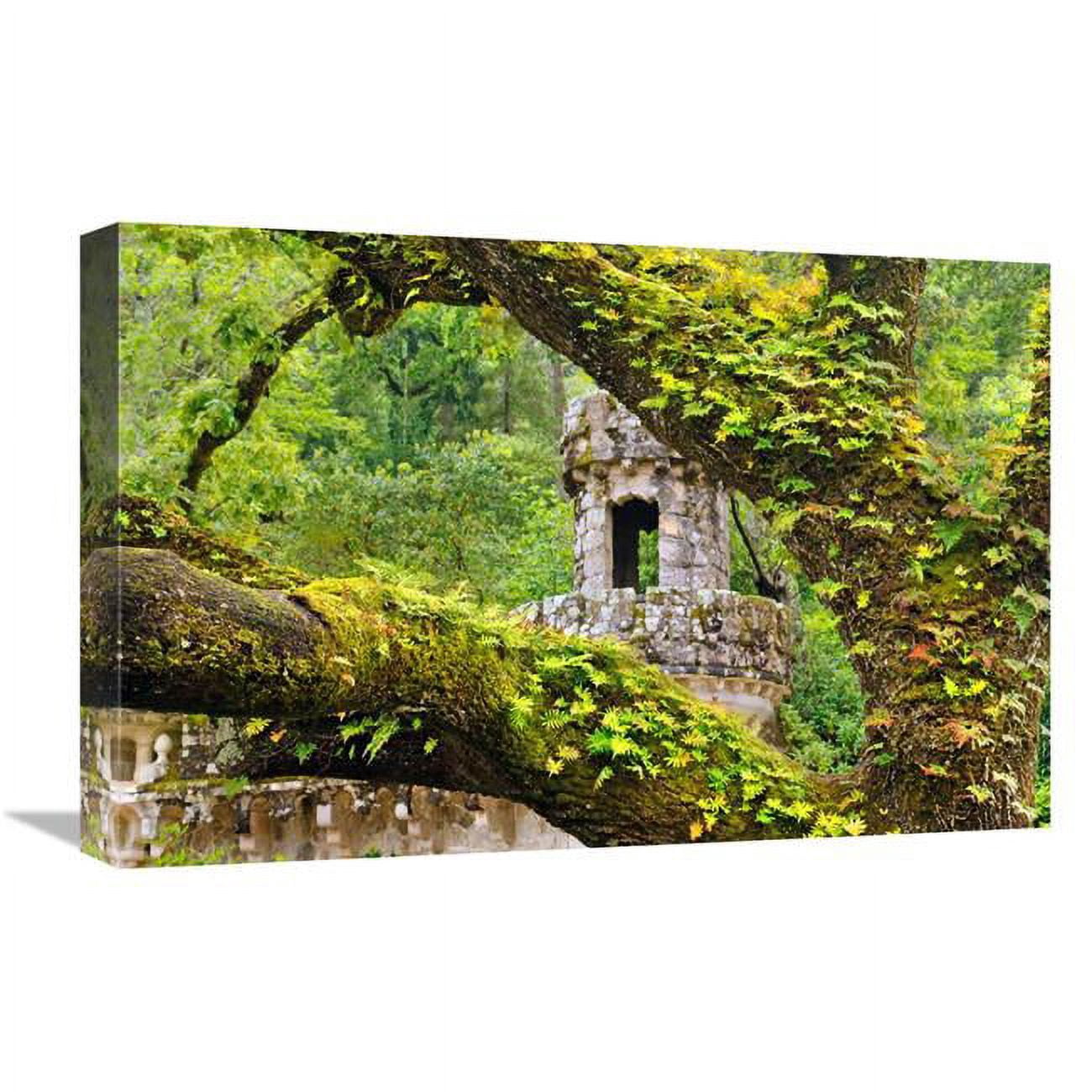 Global Gallery GCS-486558-22-142 22 in. Enchanted Forest Art Print ...