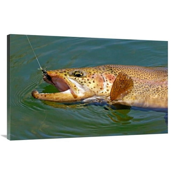 Global Gallery GCS-486578-44-142 44 in. Landed Brown Trout Art Print - Vic Schendel
