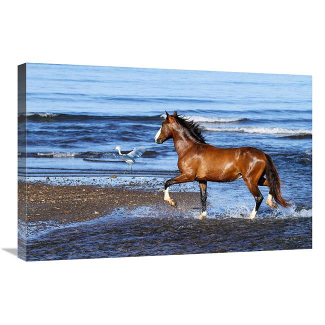 Global Gallery GCS-486579-30-142 30 in. In Shallow Waters Art Print ...