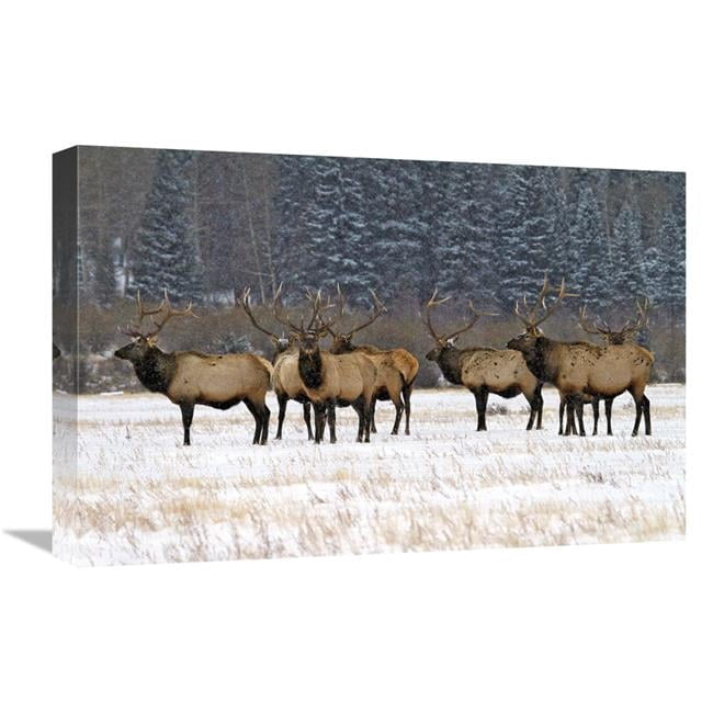 Global Gallery GCS-486584-22-142 22 in. The Gathering Art Print - Vic ...