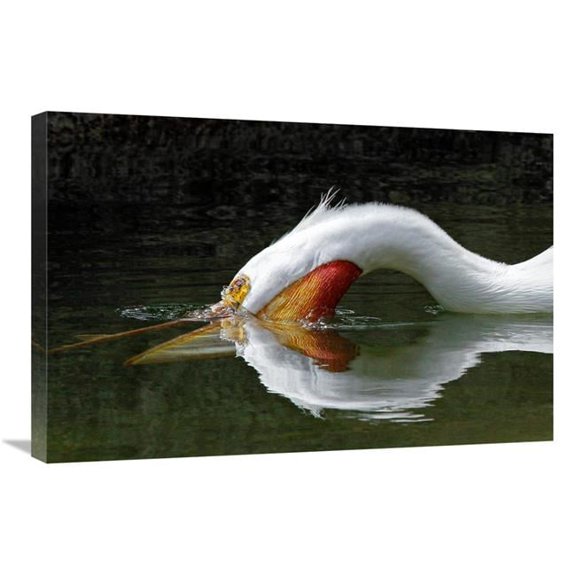 Global Gallery GCS-486598-30-142 30 in. The Dive Art Print - Vic Schendel