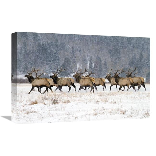 Global Gallery GCS-486627-22-142 22 in. Band of Brothers in the Snow ...