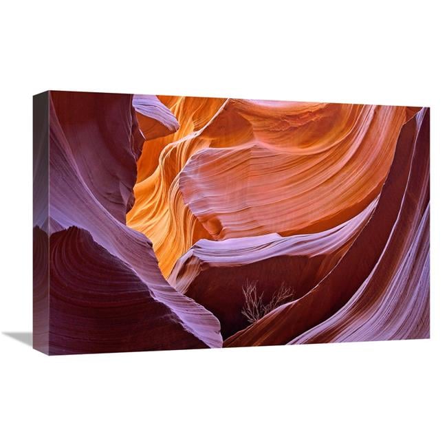 Global Gallery GCS-486639-22-142 22 in. Tumbleweed Canyon Art Print ...