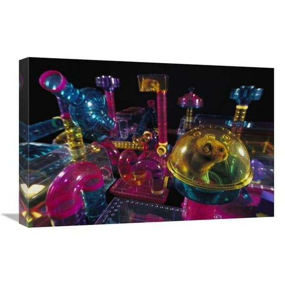 Global Gallery  Golden Hamster in Its Plastic House - Overlooking Hamster-City Habitrail Art Print - Heidi And Hans-Juergen Koch