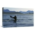 thumbnail image 1 of Global Gallery  Gray Whale Tail - Clayoquot Sound - Vancouver Island - Canada Art Print - Flip Nicklin, 1 of 1