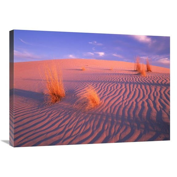Global Gallery  Gypsum Dunes - Guadalupe Mountains National Park - Texas Art Print - Tim Fitzharris