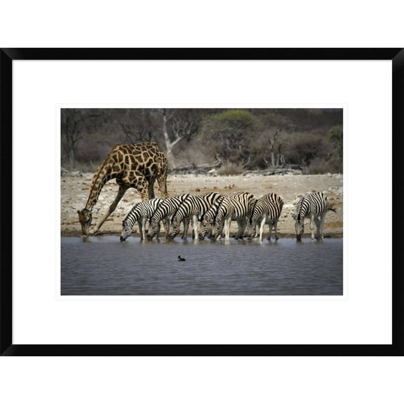 Global Gallery Hans-Wolfgang Hawerkamp 'Together At The Bar' Framed Wall Art