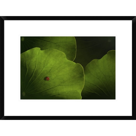 Global Gallery Heather Bonadio 'Wanderlust' Framed Wall Art