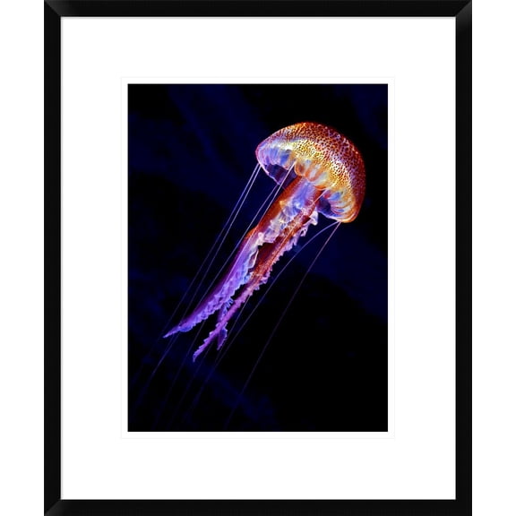 Global Gallery Henry Jager 'Jellyen' Framed Wall Art