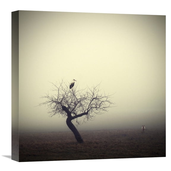 Global Gallery Holger Droste,'Meeting In The Morning' Stretched Canvas Artwork