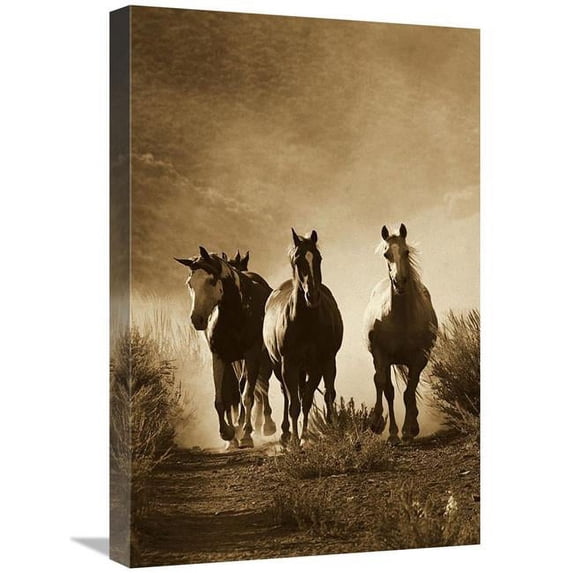 Global Gallery Horse Group of Four Approaching Camera - Oregon - Sepia Art Print - Konrad Wothe