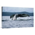 thumbnail image 1 of Global Gallery  Humpback Whale Tail - Alaska Art Print, 1 of 1