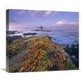 thumbnail image 1 of Global Gallery  Iceplant Covering Coastal Rocks - Point Piedras Blancas - California Art Print, 1 of 1