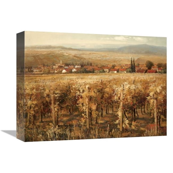 Global Gallery  Italian Golden Vineyard Art Print - K. Adams