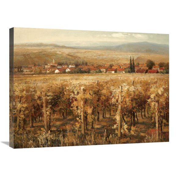 Global Gallery  Italian Golden Vineyard Art Print - K. Adams