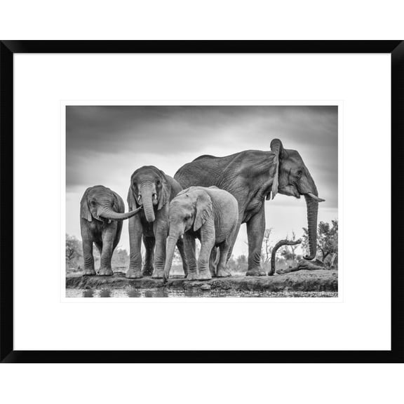 Global Gallery Jaco Marx 'A Giant Unity' Framed Wall Art