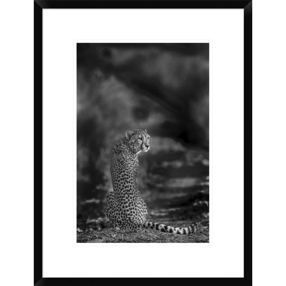Global Gallery Jaco Marx 'The Look Back' Framed Wall Art