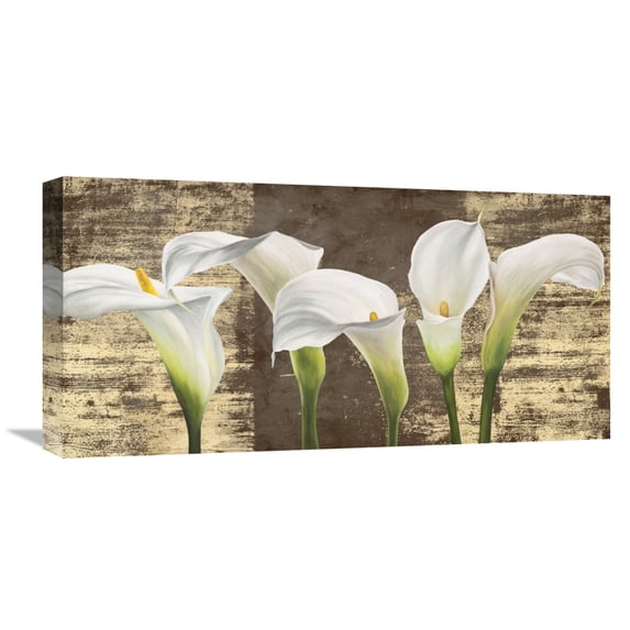 Global Gallery Jenny Thomlinson,'Callas on Gold (mocca variation)' Stretched Canvas Artwork