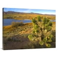 thumbnail image 1 of Global Gallery  Joshua Tree & Wetlands Along the Pacific Flyway - Pahranagat National Wildlife Refuge - Nevada Art Print, 1 of 1