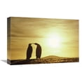 thumbnail image 1 of Global Gallery  King Penguins & Austral Summer Sunset - Volunteer Point - Falkland Islands Art Print - Tui De Roy, 1 of 1