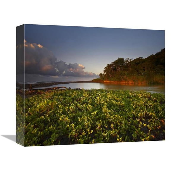 Global Gallery Lagoon Near Coastline - Corcovado National Park - Costa Rica Art Print - Tim Fitzharris