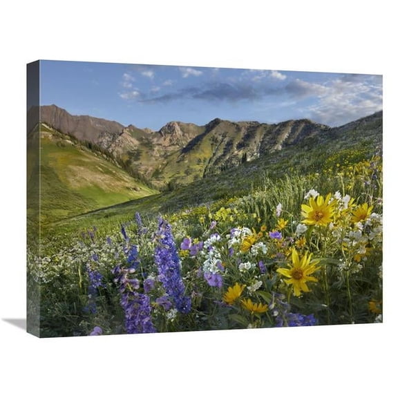 Global Gallery  Larkspur & Sunflowers - Albion Basin - Wasatch Range - Utah Art Print - Tim Fitzharris