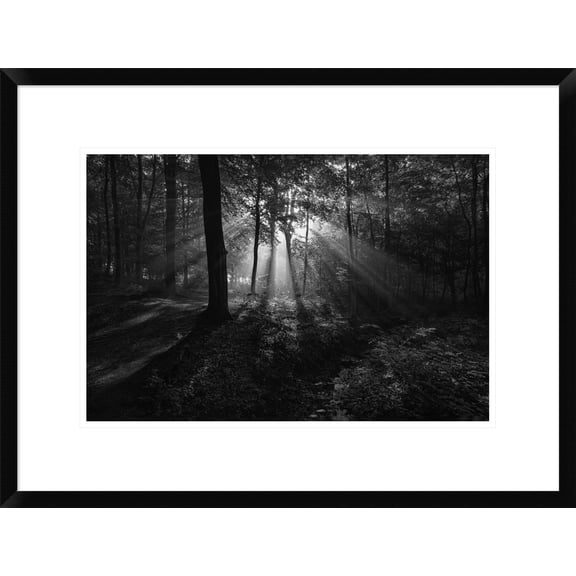 Global Gallery Leif Londal 'A Sunny Morning' Framed Wall Art