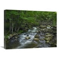 thumbnail image 1 of Global Gallery  Little Stony Creek Flowing Through Jefferson National Forest - Virginia Art Print - Tim Fitzharris, 1 of 1