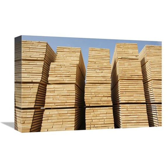 Global Gallery Logged Timber From the Tropical Rainforest - Cameroon Art Print