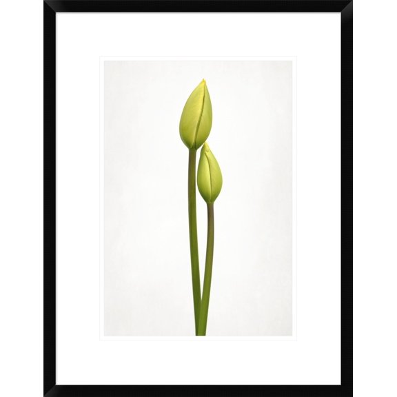 Global Gallery Lotte Gronkjaer 'Tulip Time' Framed Wall Art