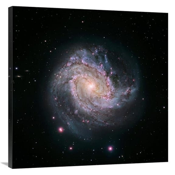 Global Gallery M83 Spiral Galaxy Hubble-Magellan Composite Art Print - NASA