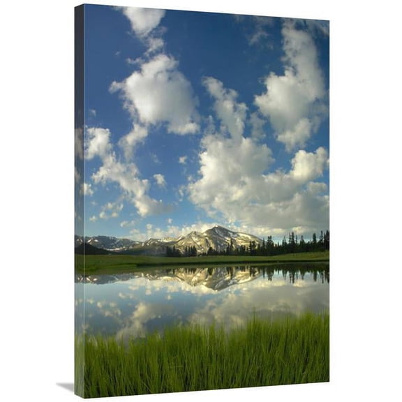 Global Gallery Mammoth Peak Reflected in Seasonal Pool - Yosemite NP - California Art Print - Tim Fitzharris