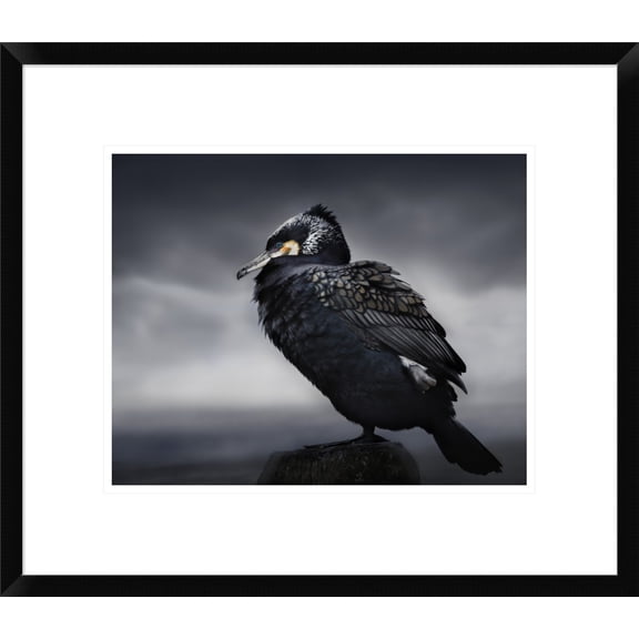 Global Gallery Martin Eilertsen 'Chief' Framed Wall Art
