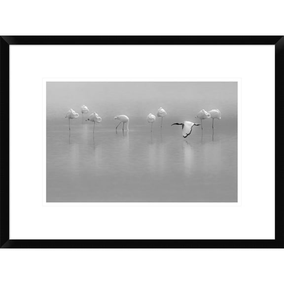 Global Gallery Massimo Mei 'Shades Of Gray' Framed Wall Art