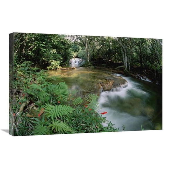 Global Gallery Mato Grosso - Limestone Springs & Waterfalls - Serra De Bodoquena - Brazil Art Print - Tui De Roy