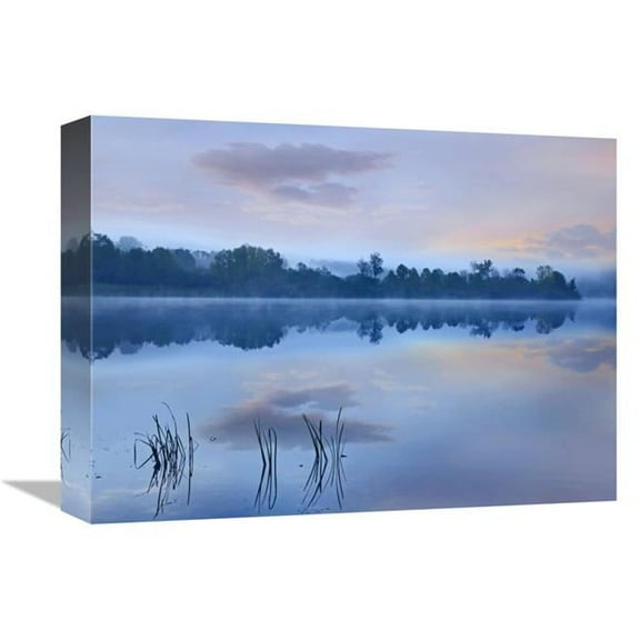 Global Gallery  Mist Over Lackawanna Lake - Lackawanna State Park - Pennsylvania Art Print - Tim Fitzharris