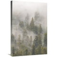 thumbnail image 1 of Global Gallery  Mist in Tongass National Forest - Juneau - Alaska Art Print - Matthias Breiter, 1 of 1