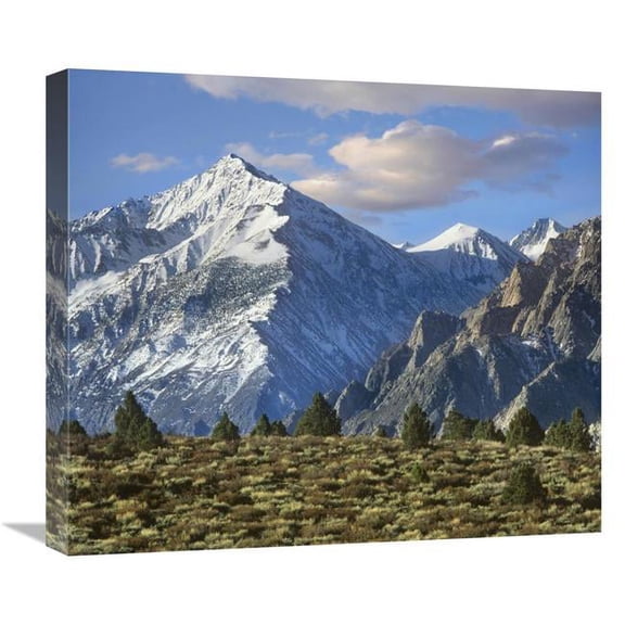 Global Gallery Mount Tom - Sierra Nevada - John Muir Wilderness - Inyo National Forest - California Art Print - Tim Fitzharris