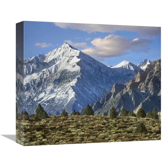 Global Gallery Mount Tom - Sierra Nevada - John Muir Wilderness - Inyo National Forest - California Art Print - Tim Fitzharris