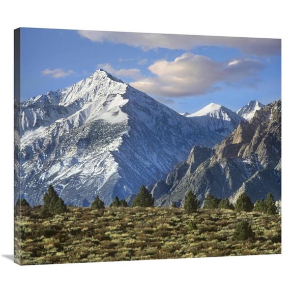 Global Gallery Mount Tom - Sierra Nevada - John Muir Wilderness - Inyo National Forest - California Art Print