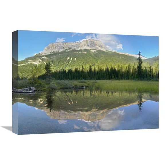 Global Gallery  Mt Burgess Reflected in Emerald Lake - Yoho National Park - British Columbia - Canada Art Print - Tim Fitzharris