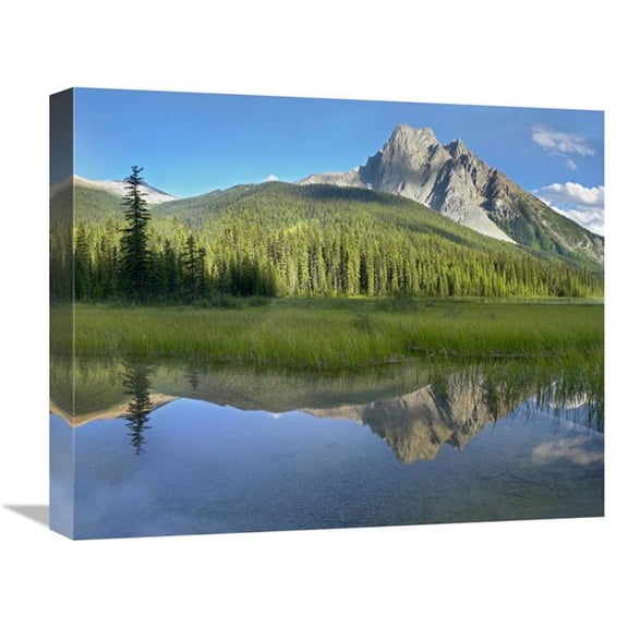 Global Gallery  Mt Burgess Reflected in Emerald Lake - Yoho National Park - British Columbia - Canada Art Print - Tim Fitzharris