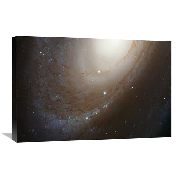 Global Gallery NASA,'HST ACS Image of M81' Stretched Canvas Artwork